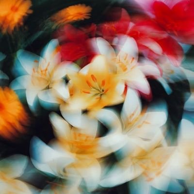 Belen_B24's profile picture. 