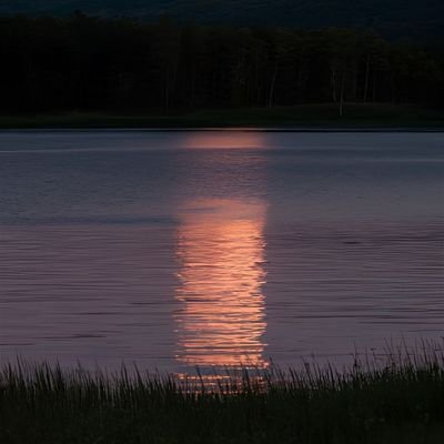 santopey's profile picture. mo