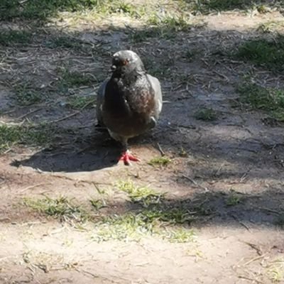 doum0070's profile picture. 