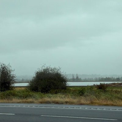 mmattmeyer's profile picture. UNLV Architecture