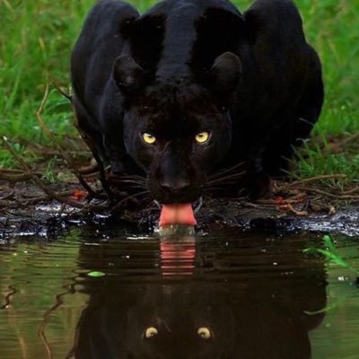 Reu2freaky's profile picture. 18 college student dms open