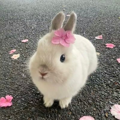 Toontn_th's profile picture. -18 + #Narakrw