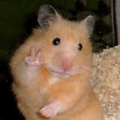 mxhrxxp's profile picture. 