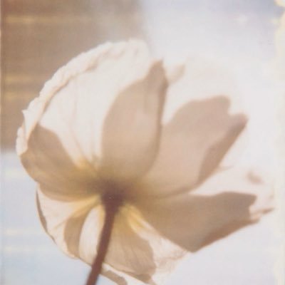 bhavicore's profile picture. used to be a mature child, now i’m just a childish woman.