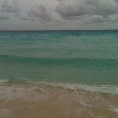 NashllyRodrigu1's profile picture. 