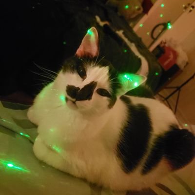 BallinaRodrigo's profile picture. 