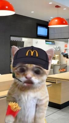 alexand18344963's profile picture. 