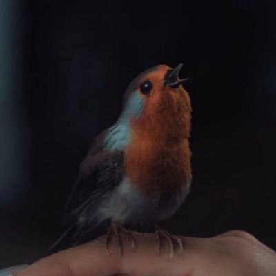 YazanChav's profile picture. annoying