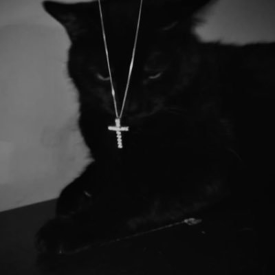 trrppd's profile picture.