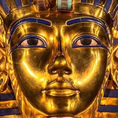 amm612413's profile picture. 