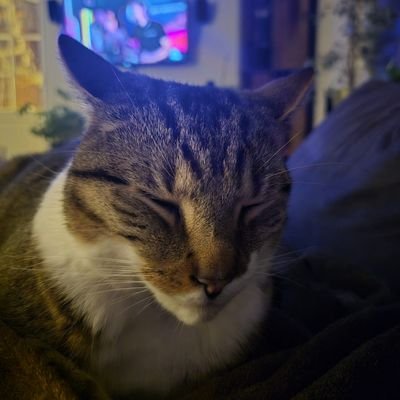 shahaan_xx's profile picture. you're shameless