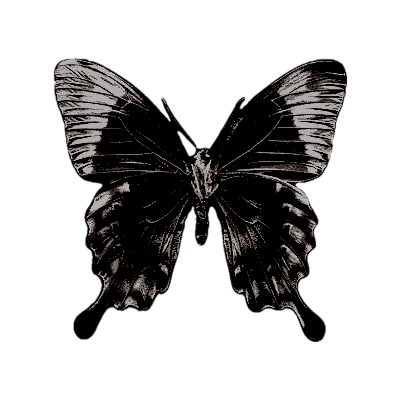 voracitis's profile picture. ⠀ ⠀ ⠀ ⠀⠀ ⠀ ⠀  * ❚ ⠀    ͜via ⠀ ⠀ @gimmickbots ┈┈┈⠀ ⠀ ⠀ ⠀ ⠀ ⠀ ⠀ ⠀ ⠀ ⠀ ⠀ ⠀ ⠀ ⠀ ⠀ ⠀ ⠀ ⠀ ⠀ ⠀ ⠀ ⠀ ⠀ ⠀ ⠀ ⠀ ⠀ ⠀ ⠀ ⠀ ⠀ ⠀ ⠀ ⠀ ⠀ ⠀ ⠀ ⠀ ⠀ ⠀