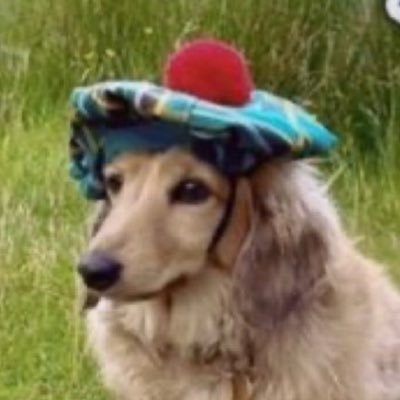 Averagecomm's profile picture. 