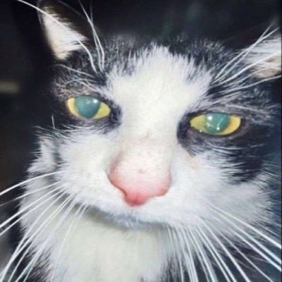 mrl_elisa's profile picture. 🍉   la meuf qui dessine et qui chante là