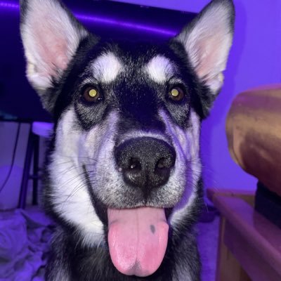 BigSosaSlothyyy's profile picture. spam acc @reptarch