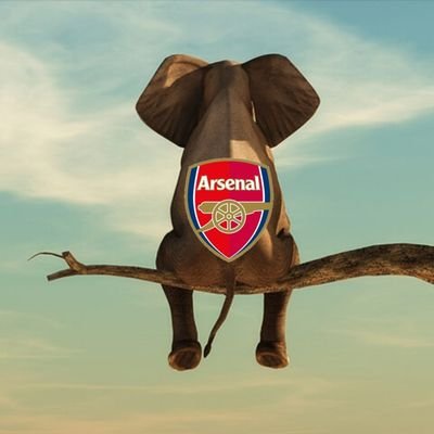 Elephant_Gooner's profile picture. 