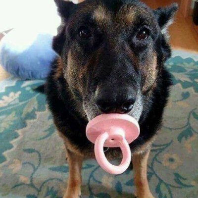 LuizVictor31443's profile picture. 🏆Campeão mundial de valorat nacional de cotia 2025