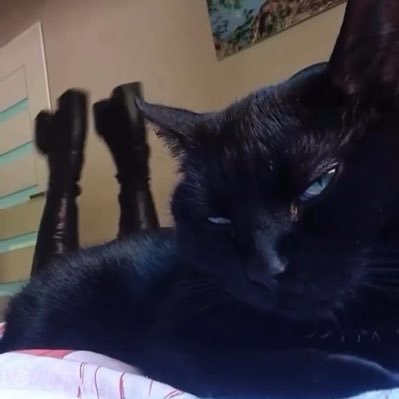 _rebecaaff's profile picture. sfc.