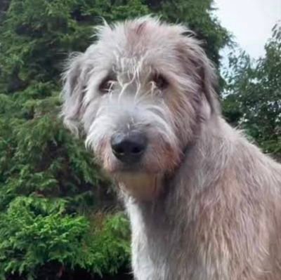 bikerider54321's profile picture. No interest in hate 🚫 block on sight 👍