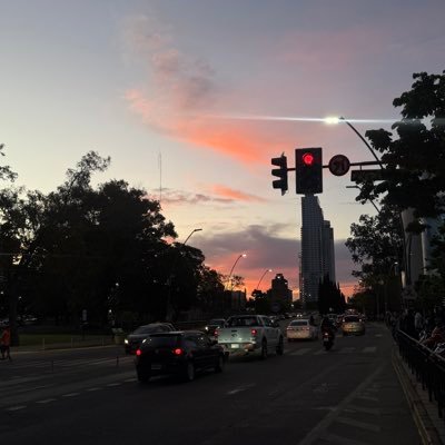 rosibax's profile picture. 