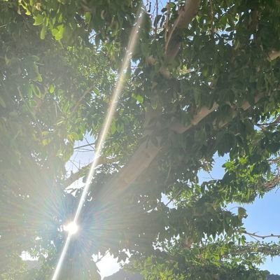 slllIII's profile picture. أحـب القـرآن وأهله، واجعَلنـي يـا الله سـارَّة أينَمـا حَللت🌦💜.