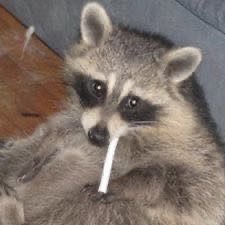 Rebvv_T's profile picture. gamin n stuff