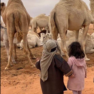 i4h2m's profile picture. Interventional Radiology Technologist @ksumedicalcity ☢️ #voiceover | #Voiceacting | #Angio | #RADS | #الاتحاد