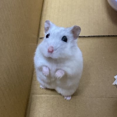 ateksi_'s profile picture. 