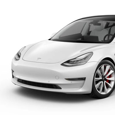 IAmModel3P's profile picture. Zoomin’, zippin’, swervin’ | Not affiliated with @Tesla