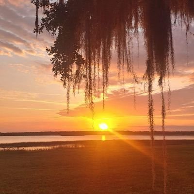 paulcarssiddy's profile picture. mans best friend now gives a lady satisfaction, send dm adorable Dog content, , add me on telegram https://t.co/ZWrJHH4MEc add my zangii : 38-9952-2877