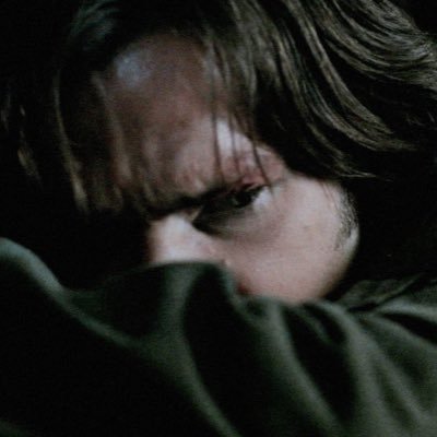 andremeows's profile picture. 