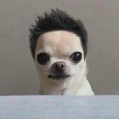 pierraw75's profile picture. 🇫🇷🦞