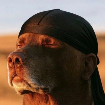 aeejay_great's profile picture. Great man!
Optometrist!
VIDEO EDITOR!
Visca Barca✊