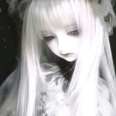 lastingl0tus's profile picture.