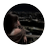 727jl's profile image