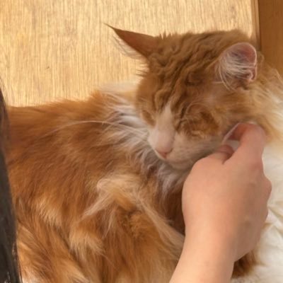 3939nic's profile picture. ｻｸ(ง ˙˘˙ )วｻｸ given