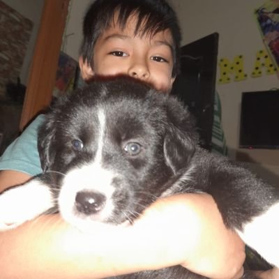 milenkasanchez's profile picture. 