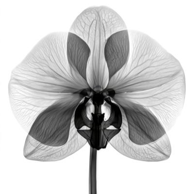 mid222_'s profile picture. ✶ ⋆ ˚｡𖦹 ⋆｡°✩ 🪐 ⋆⭒˚.⋆