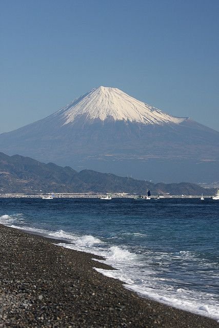 827e98cea7cd432's profile picture. ステーキ最高🥩