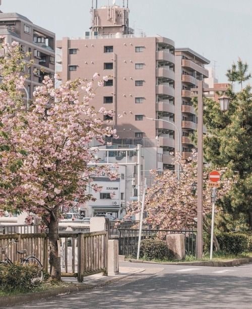 AlfredoMontoyaa's profile picture. プロセカ大好き初心者(*'▽'*)♪DMは気軽に送ってくだせ〜基本フォロバはすると思いますがエロ垢とかはＮＧ アイコンを書いてくださった絵師樣@Lesia171 友達@aaaa4139