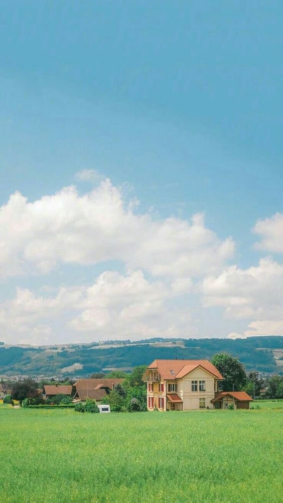 berat_tanrkulu's profile picture. それと趣味がゲームとアニメ、やってるゲームがモンストとウマ娘etc、推しウマ娘がキタサンブラックとシュヴァルグランとサトノダイヤモンドとオグリキャップ、 トレーナーID▶︎ 938732927/ ホロライブの1番の推しは白上フブキ、最推しは輪堂千速 趣味でAI生成してる者だ