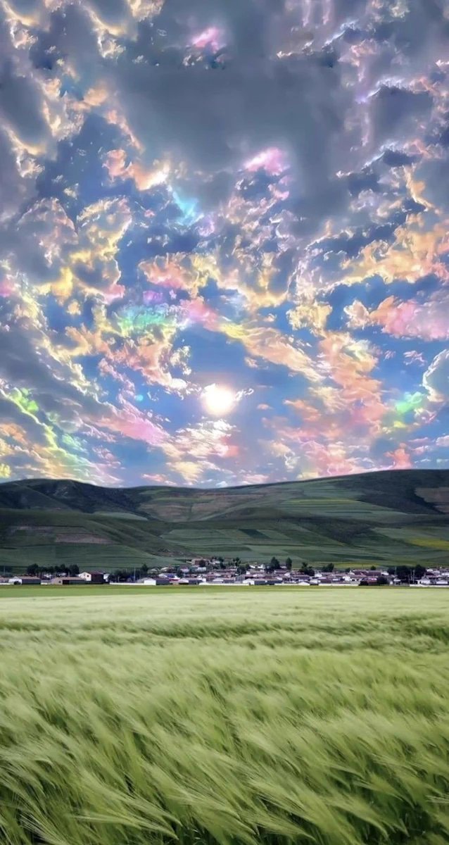 butfrary's profile picture. @toryi_niko_udn のにゃんこ垢です。