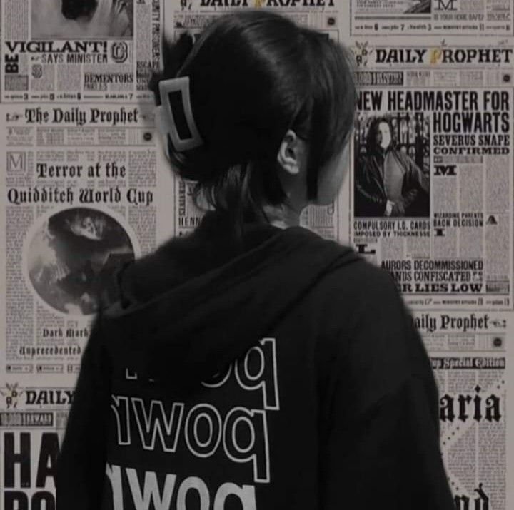 CardsKp's profile picture. 趣味垢(*´꒳`*)追記予定