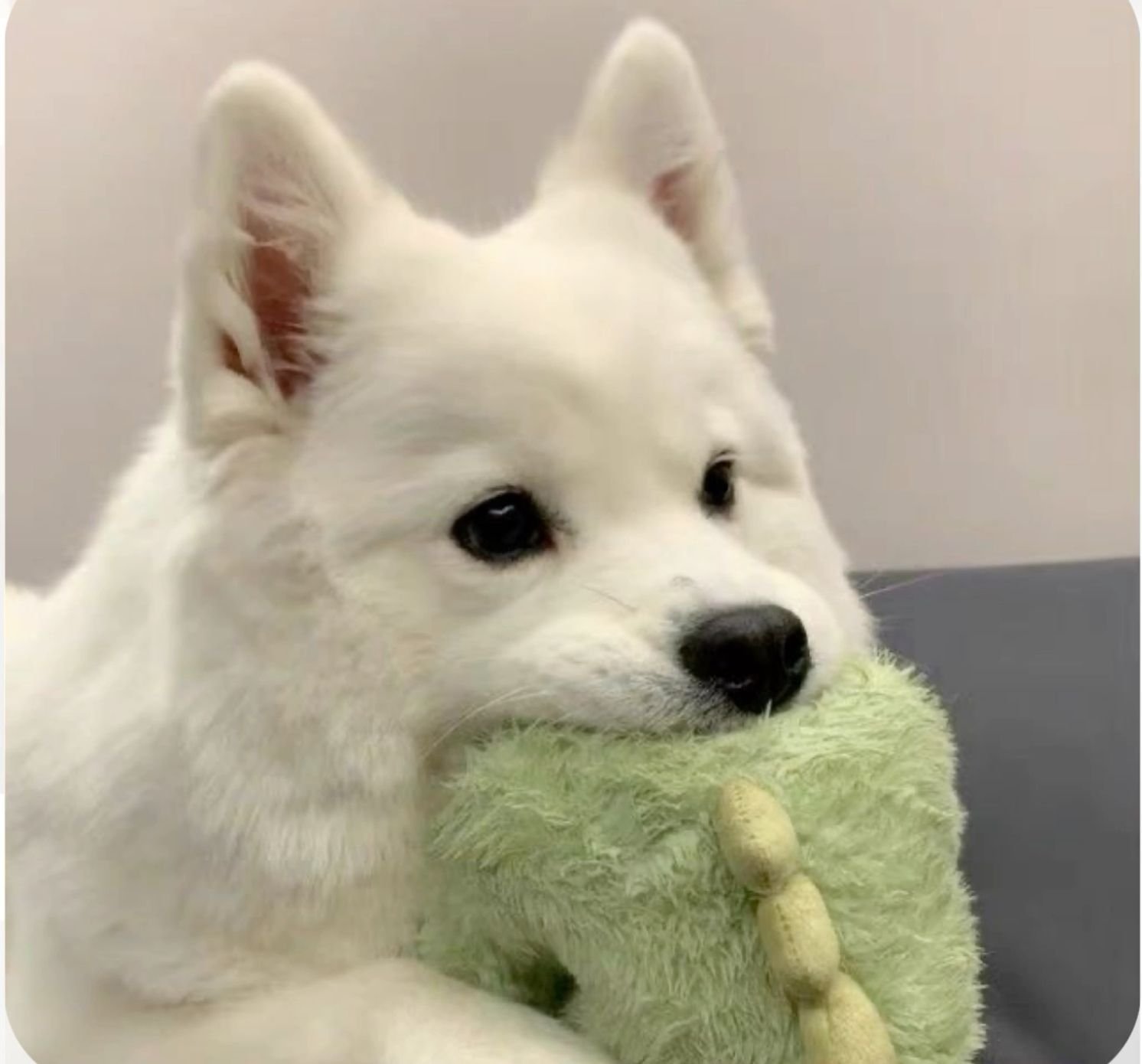 DavidEFreitas12's profile picture. とあるTwitterおじさんこと昭和世代。飲食バイトトリプルワーク中。週7勤務。