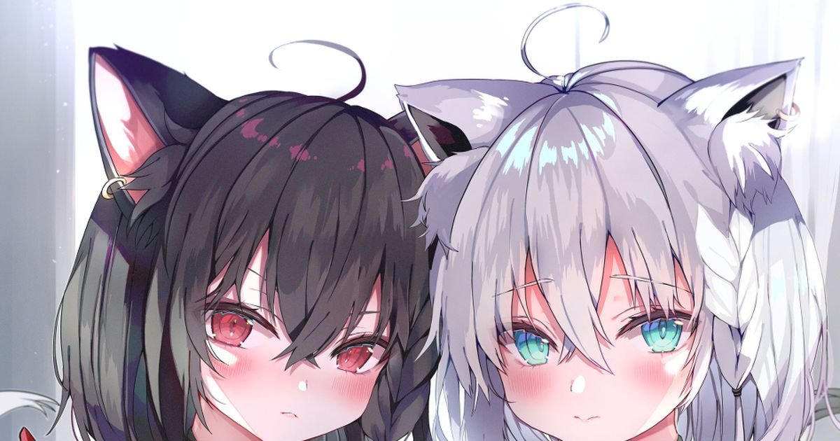 FelixEstevo's profile picture. 一个普通人罢了