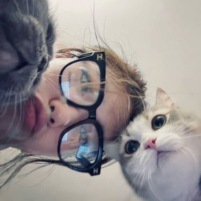 goqnqn25953's profile picture. 