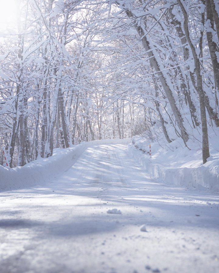 humanodigital's profile picture. BCNR33 STD 近江彼方ﾁｬﾝ仕様のR33に乗ってます/虹ヶ咲学園ﾁｭｰﾝﾄﾞｶｰ同好会 /🌈虹ヶ咲→近江彼方/🪷蓮ノ空→夕霧綴理/33Rとオーナーは97年式