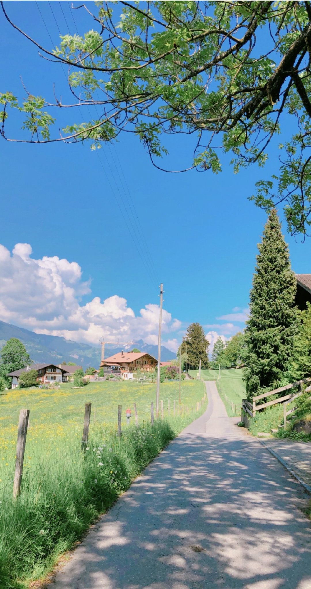 KedraAnn's profile picture. 東方ファンです。よろです