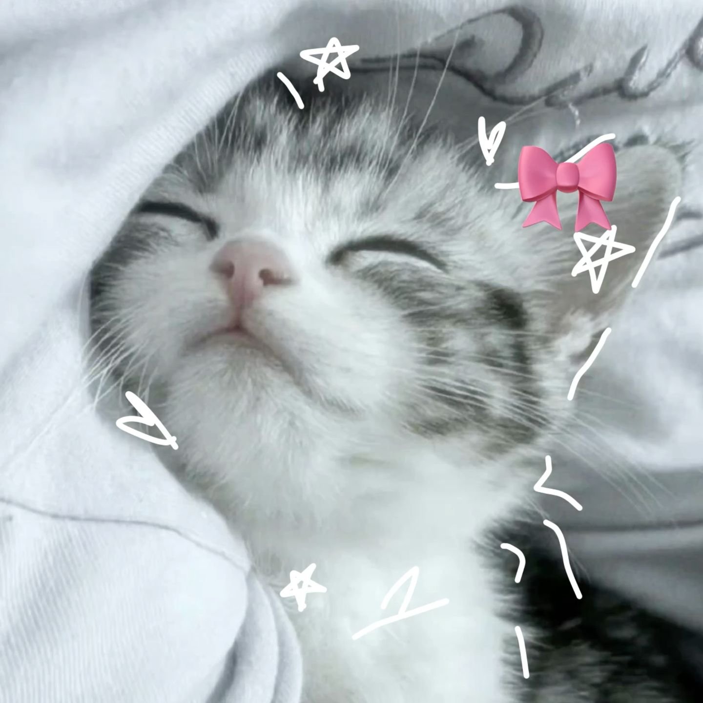 KimDowney7's profile picture. AIで生成した可愛い女の子画像をお届けします。アニメ画像作るの楽しいです。フォローしていただくと喜びます🥹