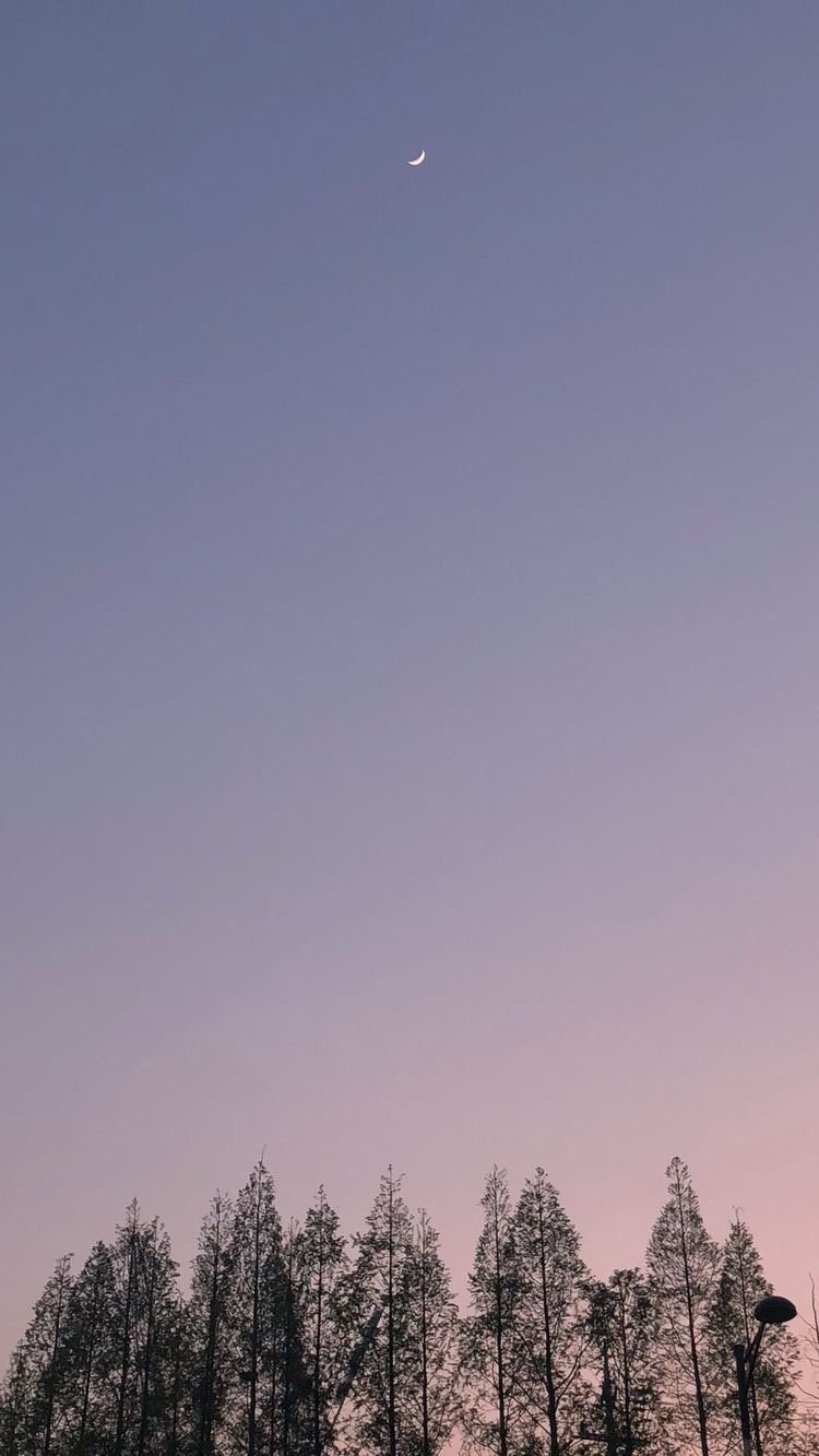 Mario92850183's profile picture. TLを神絵とか尊さで埋め尽くしたり